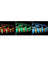 12W/m RGB+WW LED strip - 5 meter, IP20, 60 LED per meter, 24V