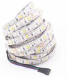 12W/m RGB+WW LED strip - 5m, IP65, 60 LED per meter, 12V