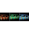 12W/m RGB+WW LED strip - 5m, IP65, 60 LED per meter, 12V