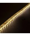 LEDlife 11W/m sidelys LED strip - 5m, IP65, 24V, 120 LED per meter