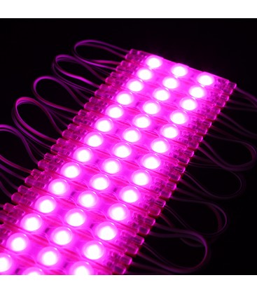 Vanntett pink LED modul - 1,1W pr hver, IP66, 12V, Perfekt for skilt og spesialløsninger