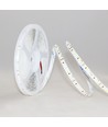 LEDlife 12W/m LED strip RA97 - 5m, 24V, IP20, 120 LED per meter