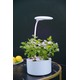 LEDlife hydroponisk mini kjøkkenhage - Hvit, inkl. vekstlys, 6 plantehull, innebygget timer og pumpe, 1,8L vanntank