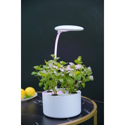  LEDlife hydroponisk mini kjøkkenhage - Hvit, inkl. vekstlys, 6 plantehull, innebygget timer og pumpe, 1,8L vanntank