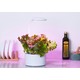 LEDlife hydroponisk mini kjøkkenhage - Hvit, inkl. vekstlys, 6 plantehull, innebygget timer og pumpe, 1,8L vanntank