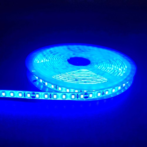 5m 10W/m Blå LED-strip - 24V DC, IP65, 120 LED pr. meter