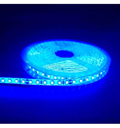 5m 10W/m Blå LED-strip - 24V DC, IP65, 120 LED pr. meter