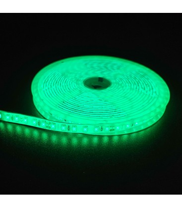 Grøn 10W/m LED stripe - 5m, 120 LED pr meter, 24V, IP65