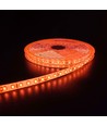 Orange 10W/m LED stripe - 5m, 120 LED pr meter, 24V, IP65