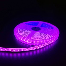 Enkeltfarget LED strip 24V Pink 10W/m LED stripe - 5m, 120 LED pr meter, 24V, IP65