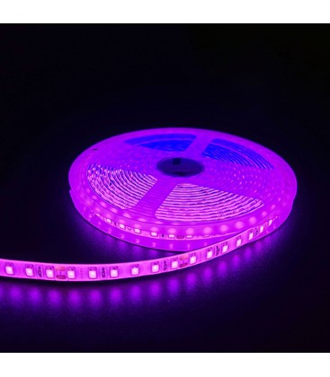 Pink 10W/m LED stripe - 5m, 120 LED pr meter, 24V, IP65
