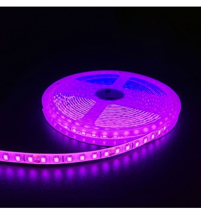 Pink 10W/m LED stripe - 5m, 120 LED pr meter, 24V, IP65