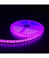 Pink 10W/m LED stripe - 5m, 120 LED pr meter, 24V, IP65