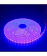 5m 10W/m Lilla LED-strip - 24V DC, IP65, 120 LED pr. meter