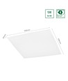 Algine Panel 40W - bakbelyst, med Philips driver, kald hvit, 230V, 120°, IP20, 595x595x26, hvit, REC