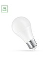 LED 10W E27 24V AC/DC - Kald Hvit, Spectrum