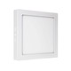 Algine Eco LED firkantet IP20 varm hvit - 230V, 12W, takpanel hvit ramme overflatemontert