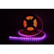 12W/m RGBIC LED stripesett - 20m, IP68, 60 LED pr. meter, 24V