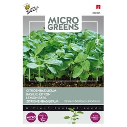 Diverse Restsalg: Microgreens, Sitron Basilikum, 1g