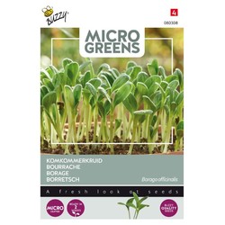 Frø Outlet: Microgreens, Agurkurt, 8g