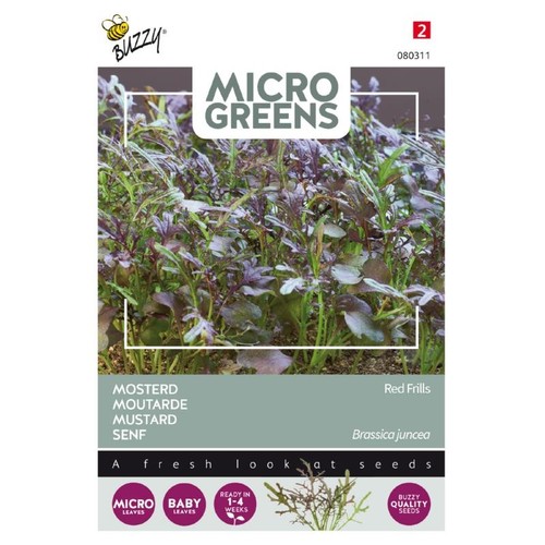 Outlet: Microgreens, senneps frø - Red Frills, 1g