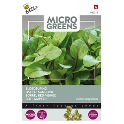 Frø Outlet: Microgreens, Rødbladet syre, 0,5g