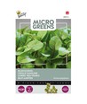 Outlet: Microgreens, Rødbladet syre, 0,5g