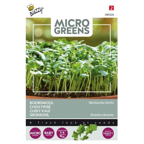 Microgreens, Grønnkål - Westland, høst