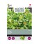Restsalg: Microgreens, Blandet salat, 1g