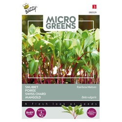 Frø Microgreens, Bladbete - Swiss Chard Rainbow-blanding,