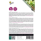 Microgreens, Bladbete - Swiss Chard Rainbow-blanding,