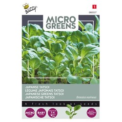 Frø Microgreens, Japansk grønn Tatsoi, 