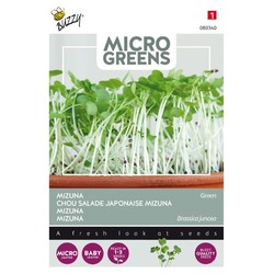 Microgreens, Mizuna Green
