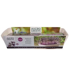 Outlet Outlet: Microgreens startekit - Rød Daikon reddik