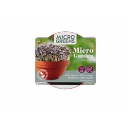 Frø Microgreens starterkit - Mizuna