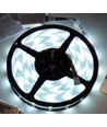 12W/m RGB+CW LED strip - 5 meter, IP65, 60 LED per meter, 24V