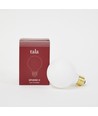 Outlet: Tala Sphere II LED Globepære Ø75, 6W i 2000K-2800K, Ra95, Dimbar