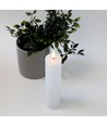 LED-kubbelys 20cm, flammeeffekt, hvit - Ø5cm, fjernkontroll, timer, ekte voks