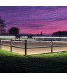 25m LEDlife ridebanestripe på trommel - 230V, IP67, 180 LED/m, 11W/m