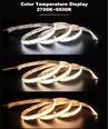 10W/m CCT COB-LED strip - 5m, IP20, 512 LED per meter, 24V, RA97