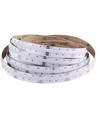5m 24W/m RGB+WW COB-LED strip - 24V DC, IP20, 840 LED pr. meter, COB LED