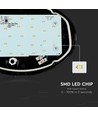 12W oval LED tak/vegglampe - IP54, sort, 3000K, 24,2 x 16,5 cm
