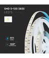 12W/m LED-strips - Samsung Chip, 12V, 6500K, IP20, 5m/rull