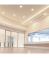 6W LED COB Hotel Downlight, RA95 - CREE chip, sølv reflektor, justerbar, innfellingsspot