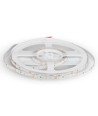 60 LED Stripelys 4.2W/m - 6400K, IP20, 5m/rull