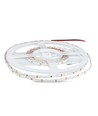 60 LED striplys 5W/m S form - 6400K, 12V, IP20, 5m/rull