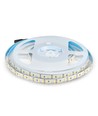 120 LED Striplys 20W/m - 6400K, høy lumen, IP20, 5m/rull