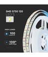 120 LED Striplys 20W/m - 6400K, høy lumen, IP20, 5m/rull