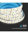 120 LED Striplys 20W/m - 6400K, høy lumen, IP20, 5m/rull