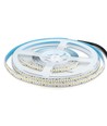 240 LED Strip Lys 20W/m - 6000K, Høy Lumen, IP20, 5m/rull